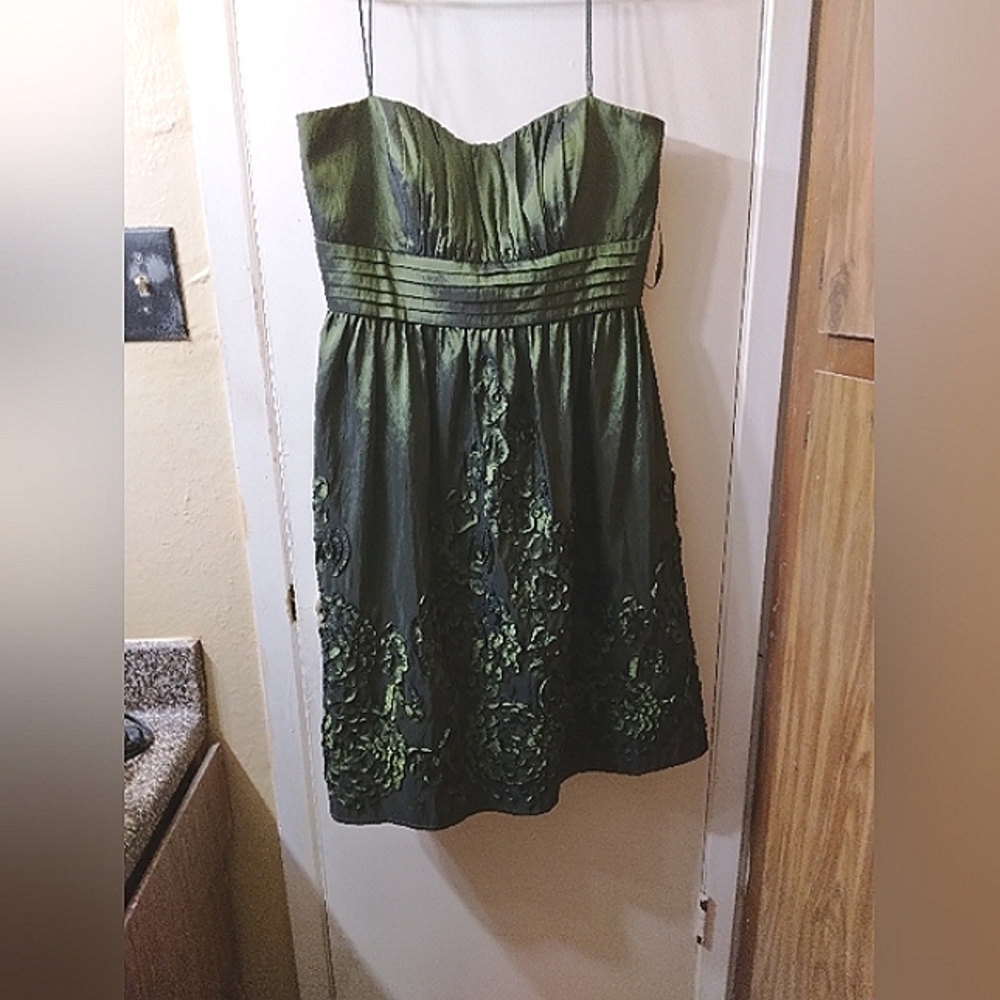 Jessica Howard A- Line Green Embroidered Empire Floral Dress Size 14